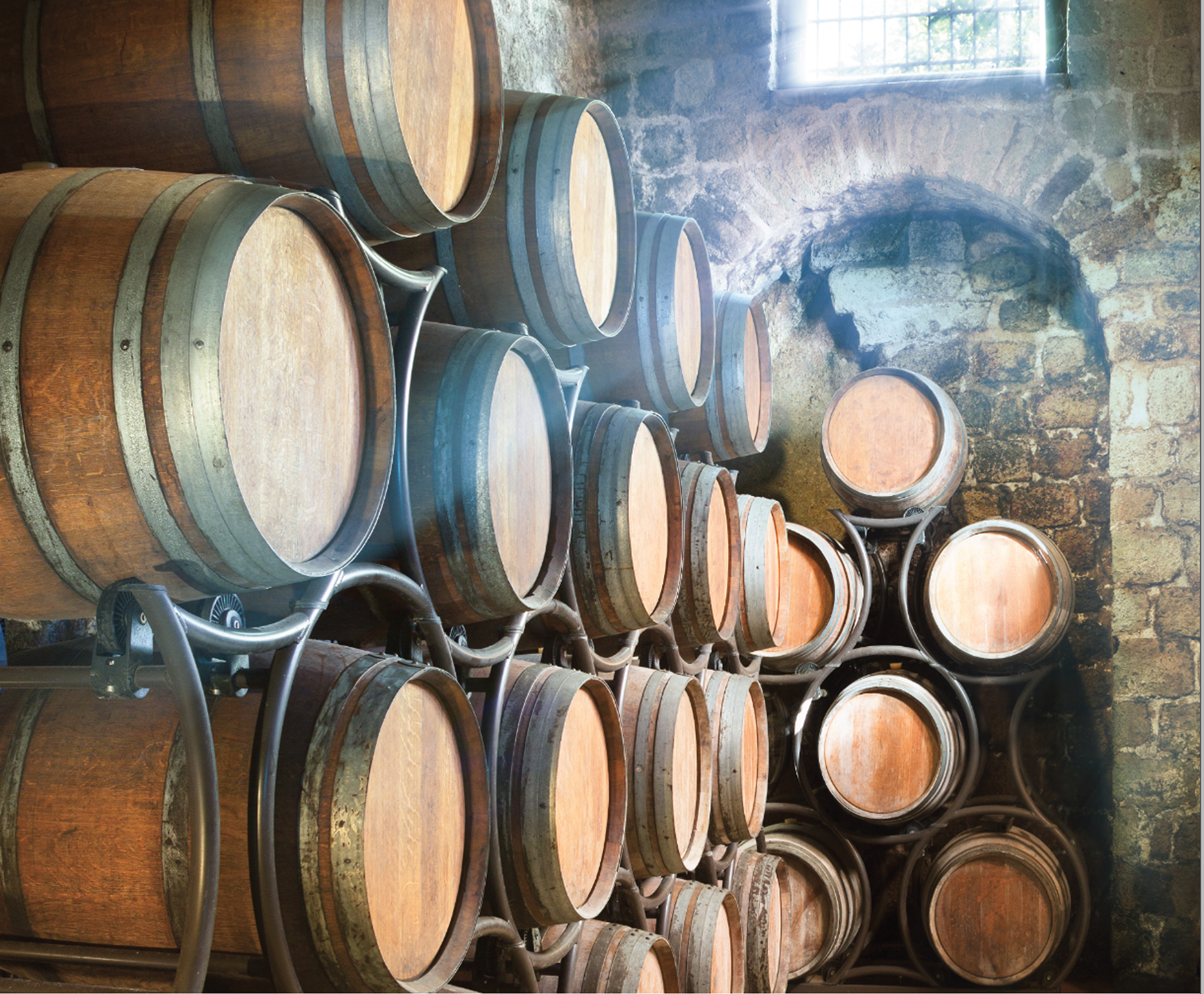 Wooden barrels aging in cellar