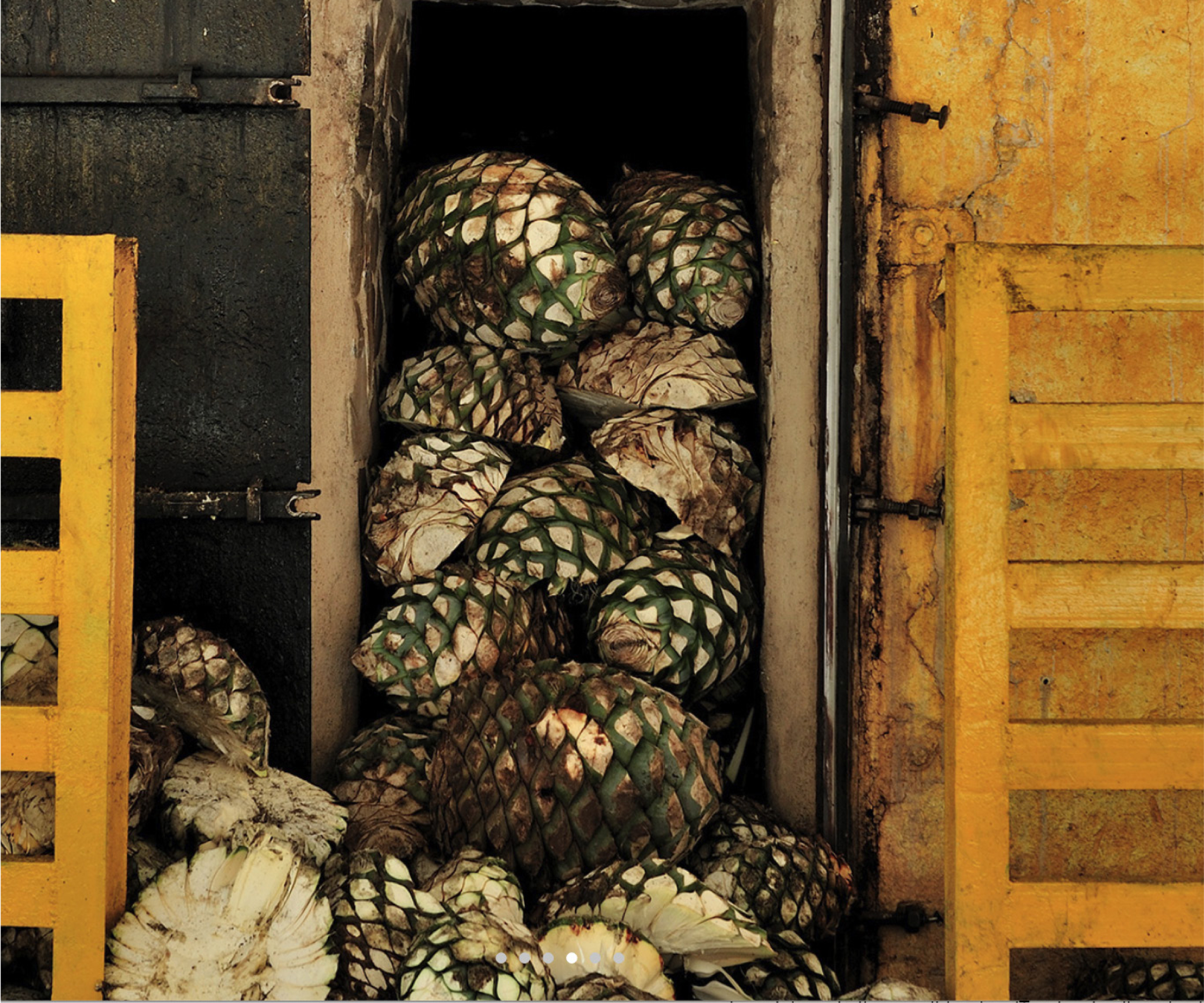Traditional brick ovens for cooking agave